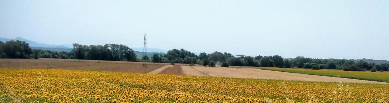 Splendido Ampio Appartamento A Montepulciano Stazione Exterior foto