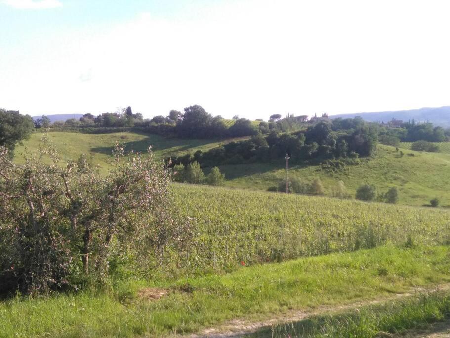 Splendido Ampio Appartamento A Montepulciano Stazione Exterior foto